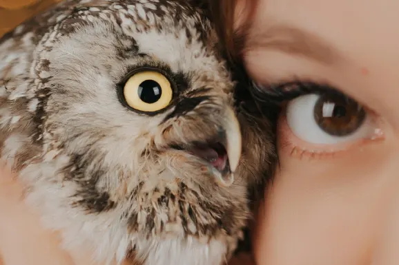 كازينو لاكي 31 الدعم